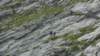 p1010114_small.jpg