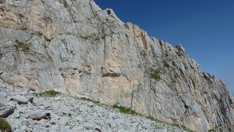 p1010152.jpg