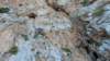 p1010223_small.jpg