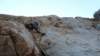 p1010224_small.jpg