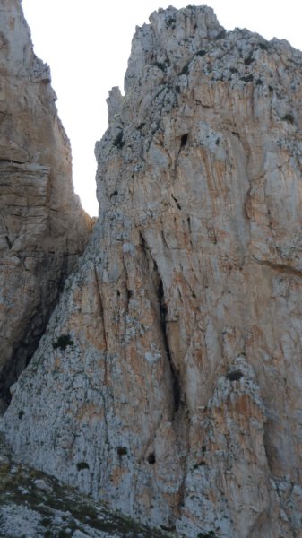 p1010287.jpg