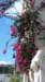 p1010296_small.jpg
