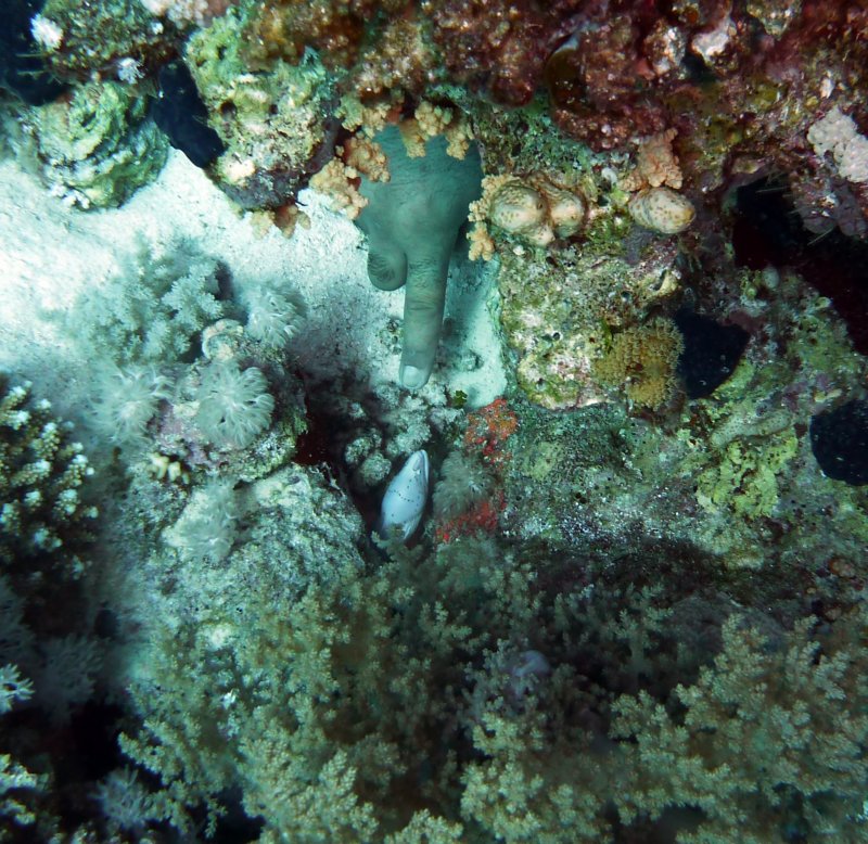 p1010402.jpg