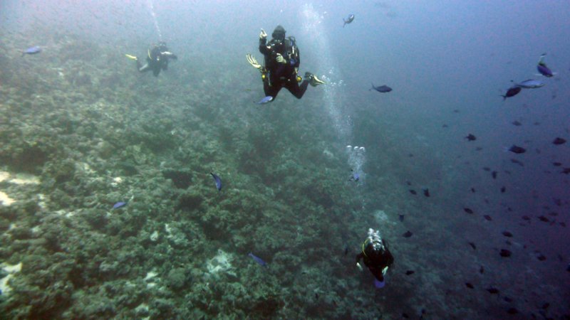p1010422.jpg