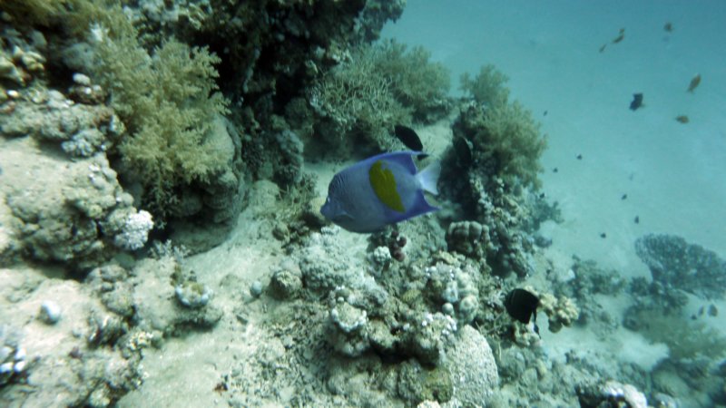p1010530.jpg