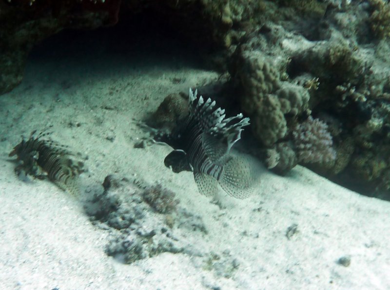 p1010547.jpg