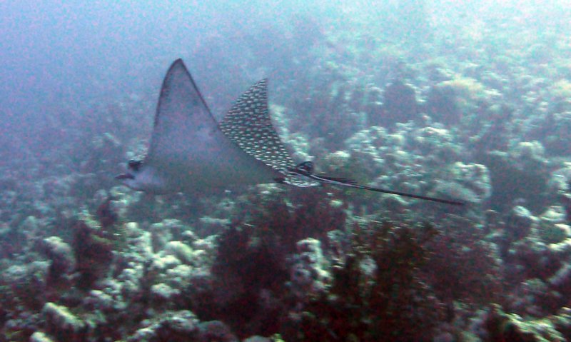 p1010647.jpg