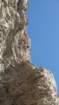 p1010739_small.jpg