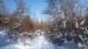 p1010778_small.jpg