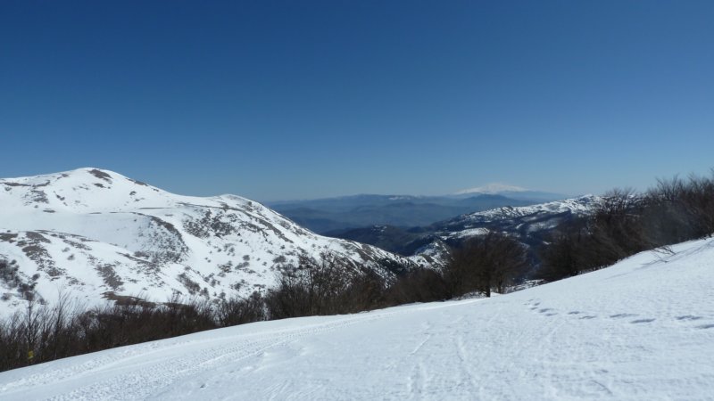 p1010806.jpg