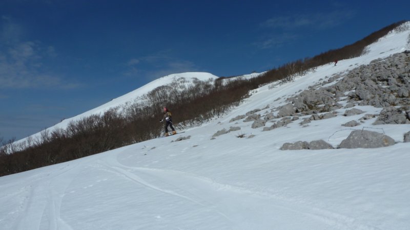 p1010831.jpg