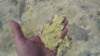 p1010928_small.jpg