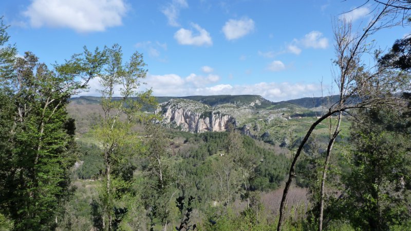 p1010949.jpg