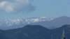 p1010952_small.jpg