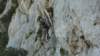 p1010965_small.jpg