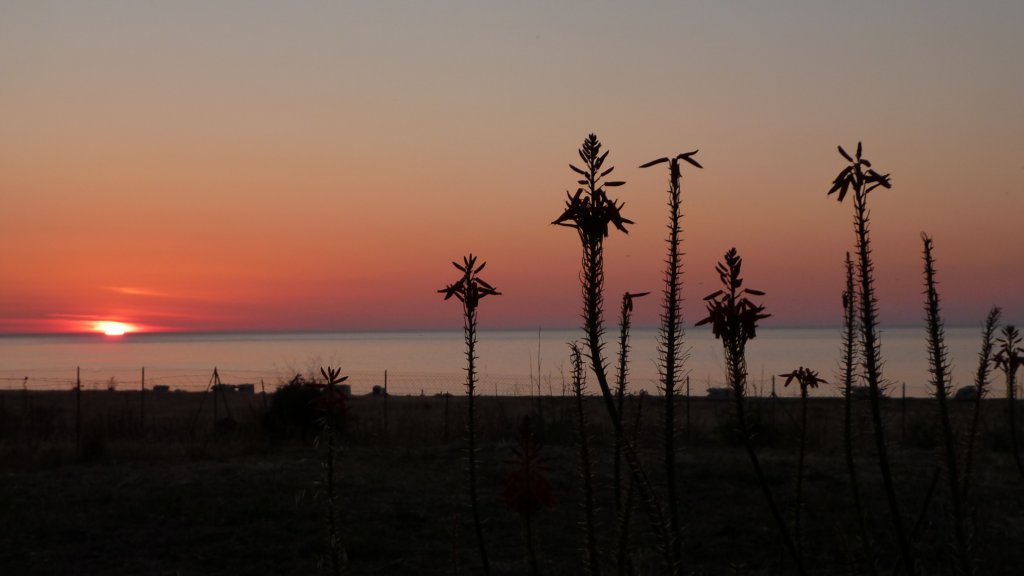 p1020015.jpg