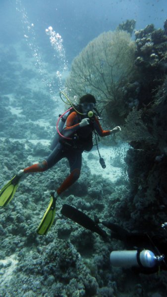 p1020120.jpg