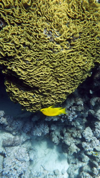 p1020135.jpg