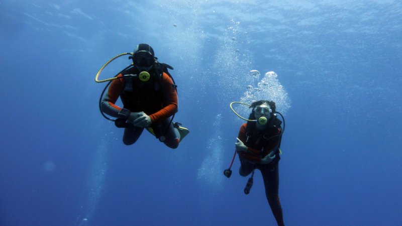 p1020152.jpg