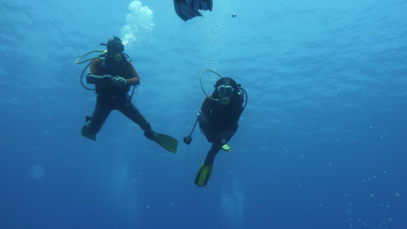 p1020154.jpg