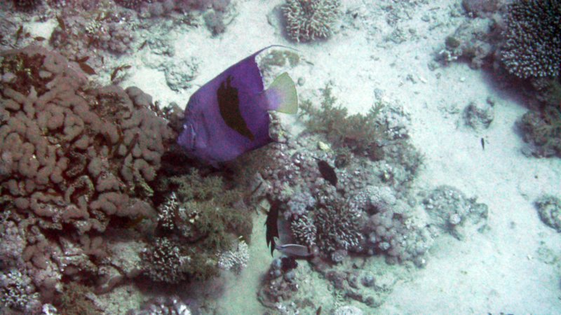 p1020157.jpg
