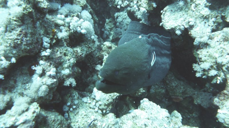 p1020165.jpg