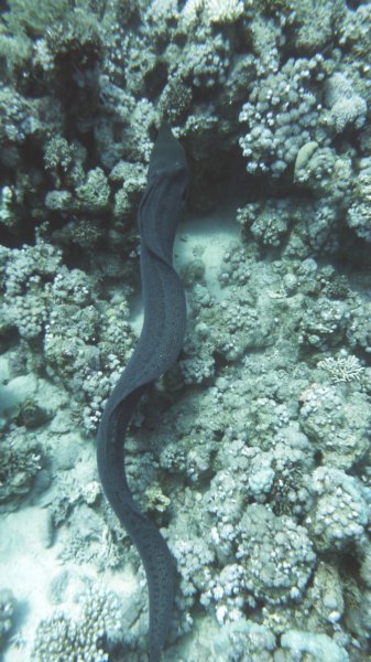 p1020169.jpg