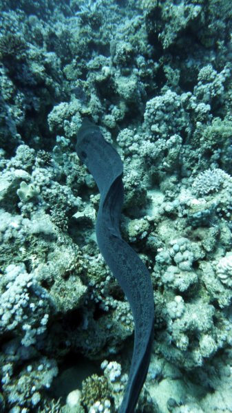p1020173.jpg
