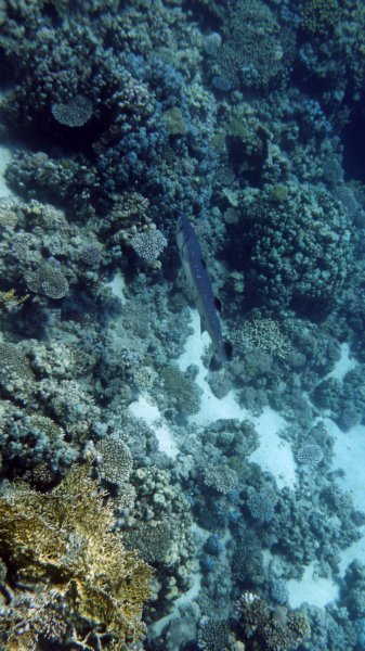 p1020179.jpg