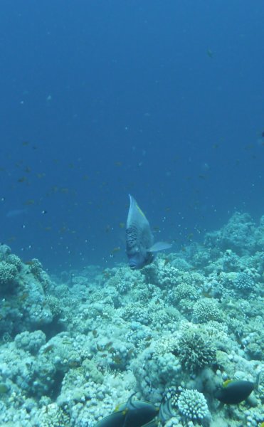 p1020224.jpg