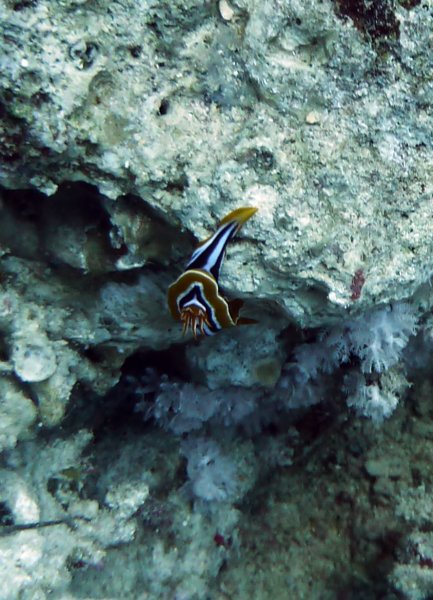 p1020232.jpg