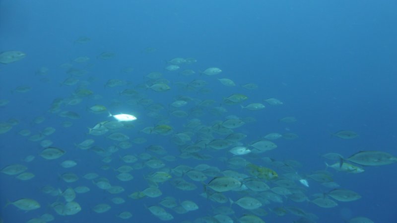 p1020285.jpg