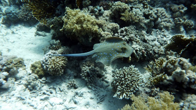 p1020315.jpg