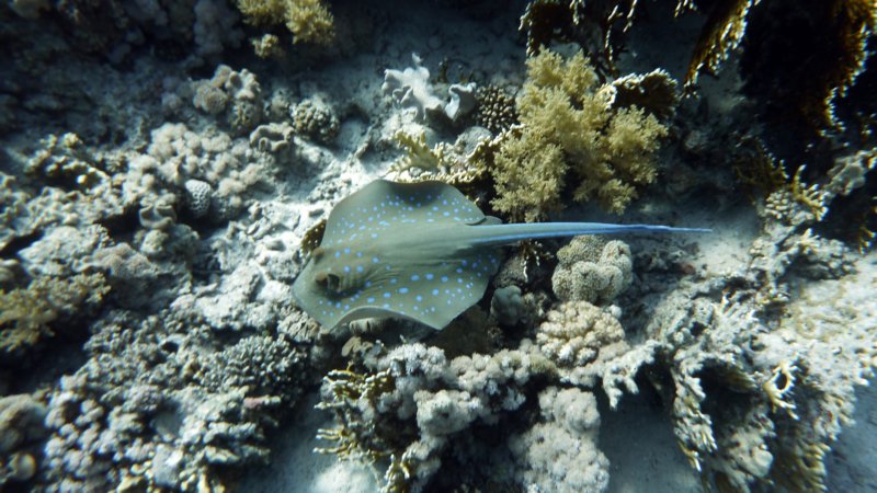 p1020317.jpg