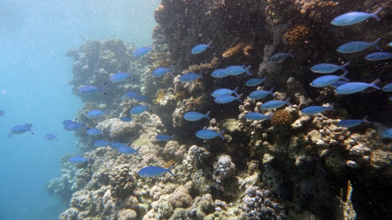 p1020339.jpg