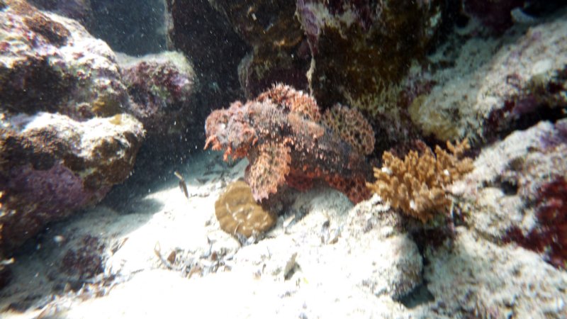 p1020340.jpg