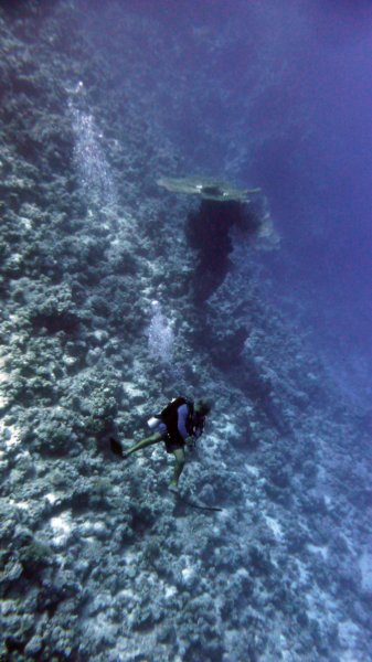 p1020346.jpg