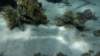 p1020566_small.jpg