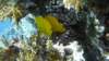 p1020612_small.jpg