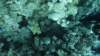 p1020613_small.jpg