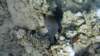 p1020677_small.jpg
