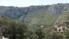 p1020809_small.jpg