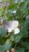 p1020851_small.jpg