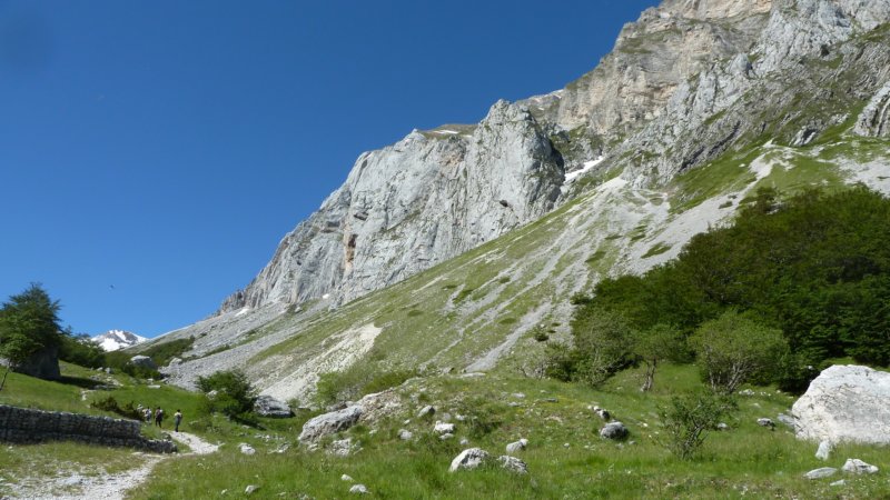 p1020855.jpg