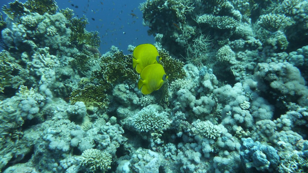 p1030002.jpg