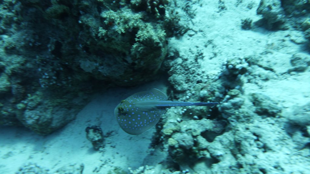 p1030160.jpg