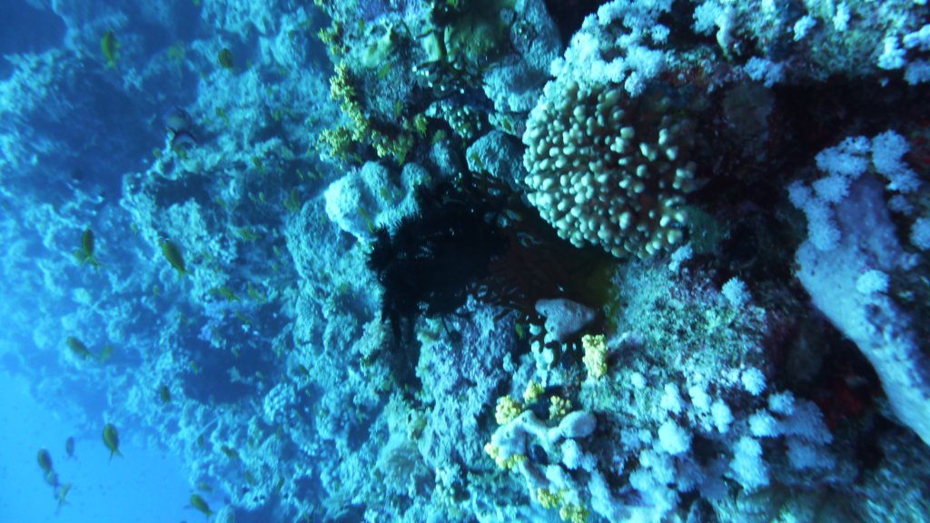 p1030233.jpg