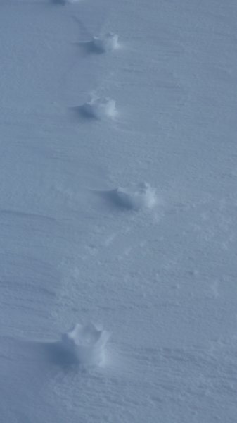 p1030471.jpg