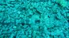 p1030773_small.jpg