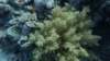 p1060778_small.jpg